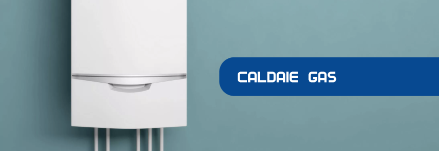 Caldaie gas